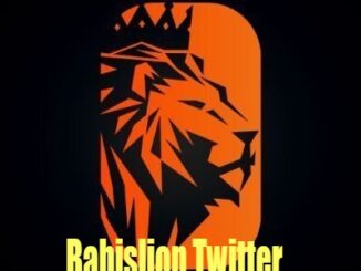 bahislion twitter
